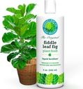 Fiddle Leaf Fig Plant Food – 3‑1‑2 Balanced NPK Liquid Fertilizer for Larger Leaves, Stronger Roots & Steady, Vibrant Growth | Suitable for All Ficus Including Ficus Lyrata | Made in USA | 8 oz