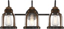 Westinghouse 6118200 Cindy Vintage-Style Three-Light Indoor Vanity Light Fixture, Oil Rubbed Bronze Finish with Barnwood Accents, Clear Seeded Glass
