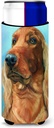 Irish Setter in Blue Ultra Beverage Insulators for slim cans