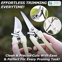 Pruning Shears for Gardening, 2 Pack. Garden Scissors & Bypass Pruner with Anti-Slip Grip Handles – Sharp Stainless Steel Garden Shears Use for Cutting Flowers and Trimming Plants