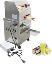 TECHTONGDA 24V DC or 110V AC Electric Sugar Cane Juicer Press Machine, Vertical Sugarcane Press, Stainless Steel Rollers Sugarcane Juice Extractor with Transformer and Wheels for Commercial Juicing