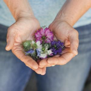 Floret Farm's Cut Flower Garden: Grow, Harvest, and Arrange Stunning Seasonal Blooms
