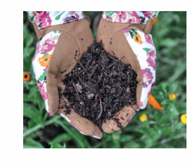 Garden Alchemy: 80 Recipes and Concoctions for Organic Fertilizers, Plant Elixirs, Potting Mixes, Pest Deterrents, and More