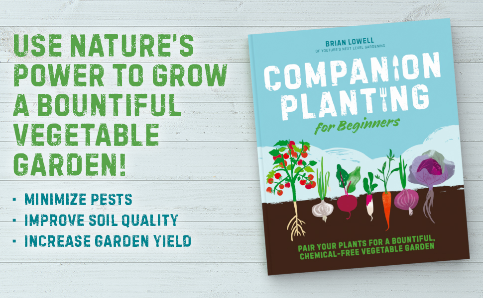 Companion Planting for Beginners: Pair Your Plants for a Bountiful, Chemical-Free Vegetable Garden