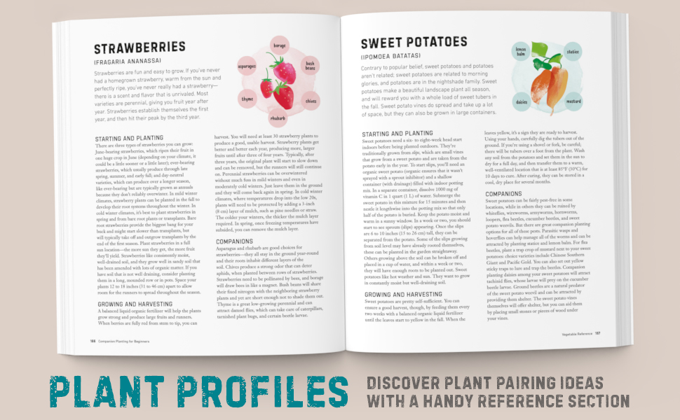 Companion Planting for Beginners: Pair Your Plants for a Bountiful, Chemical-Free Vegetable Garden