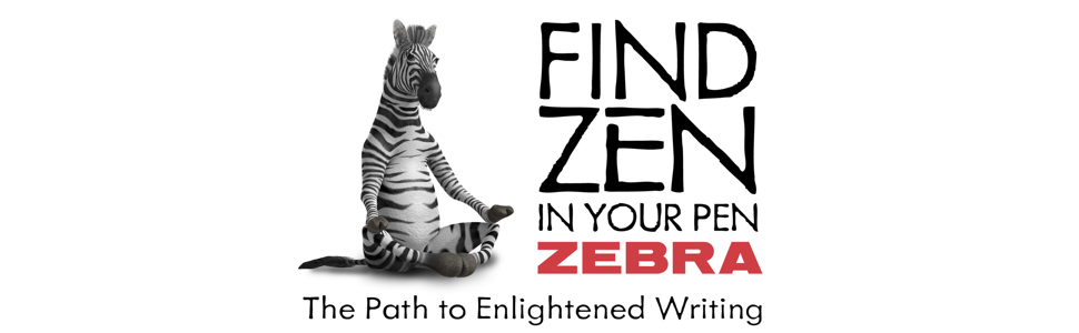 Zebra Pen STEEL F-301 Retractable Ballpoint Pen, Black Ink, 0.7mm, 12-Pack