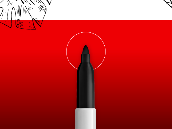 Sharpie Electro Pop Permanent Markers, Fine Tip, Marker Set, Assorted Colors, 24 Count - Coloring, Drawing, Art, Markers, Writing