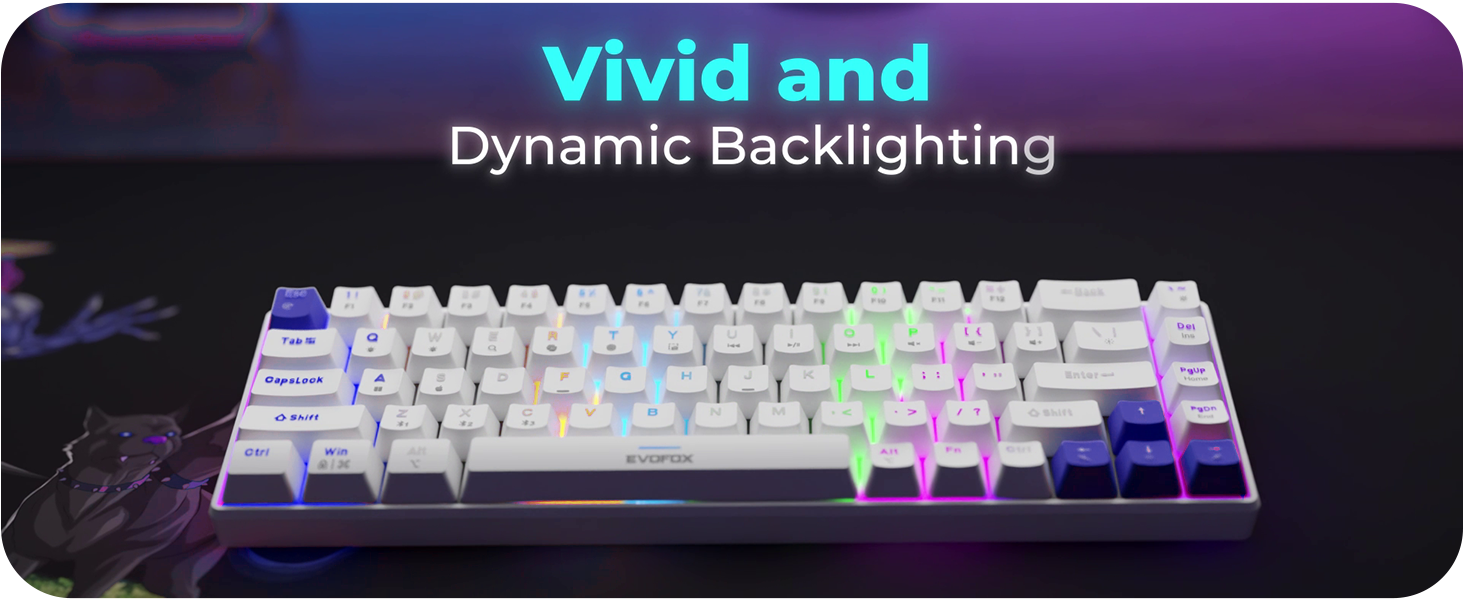 EvoFox Katana S Mini Wired Mechanical Keyboard | Hot-Swappable Silent Red Switches | 68-Key Compact Layout | Vivid Rainbow Backlighting | 1000Hz Polling Rate, All Keys Anti-Ghosting (White)