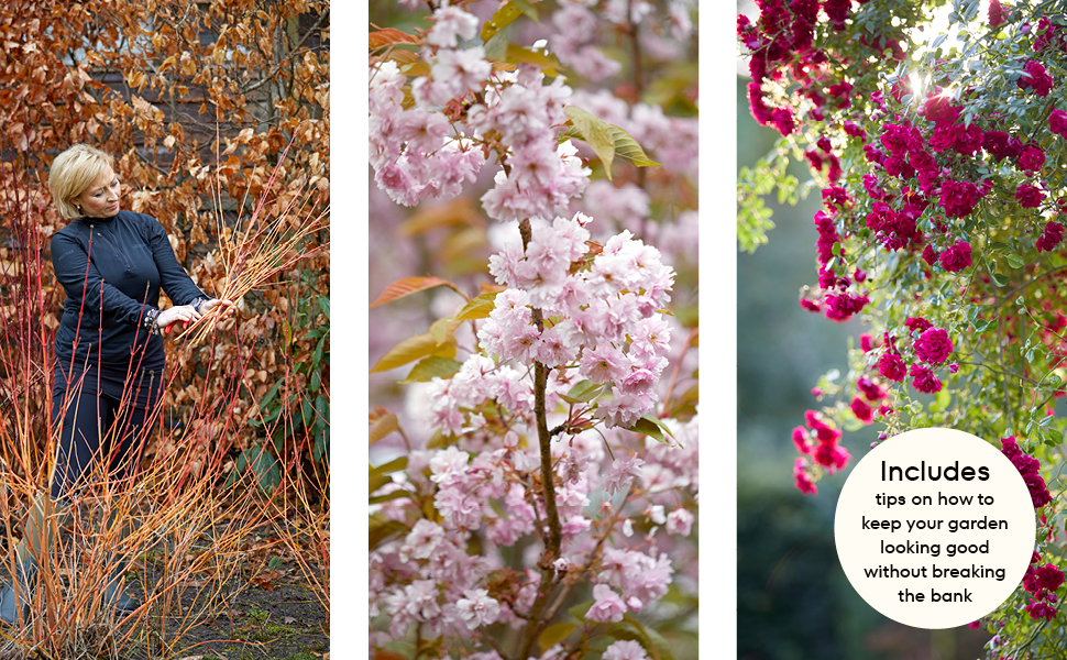 The Money-Saving Garden Year: A Month-by-month Guide to a Great Garden that Costs Less