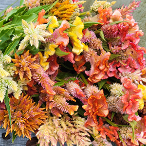 The Old Farmer's Almanac Flower Gardener's Handbook: Your Trusted Guide to Growing Stunning Blooms―From Planting to Cut-Bloom Preservation