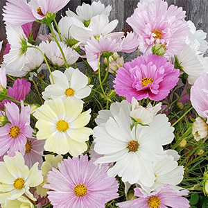 The Old Farmer's Almanac Flower Gardener's Handbook: Your Trusted Guide to Growing Stunning Blooms―From Planting to Cut-Bloom Preservation