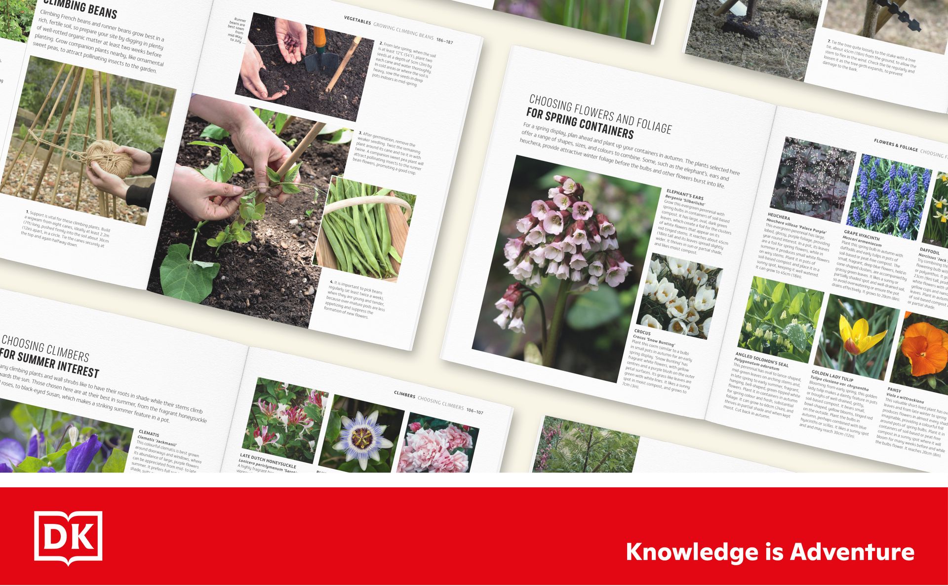 Beginner Gardening Step by Step: A Visual Guide to Yard and Garden Basics