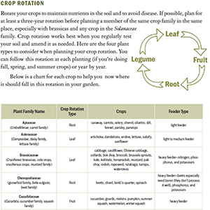 The Family Garden Planner: Organize Your Food-Growing Year •Helpful Worksheets •Weekly Tasks •Expert Advice
