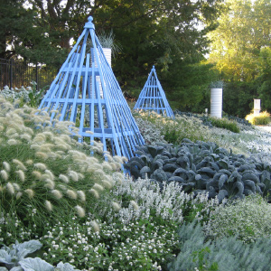 White Gardens: Creating Magnificent Moonlit Spaces: Guide to White and Luminous Plants (Creative Homeowner) How to Create a Night Garden with Plants that Reflect the Moon or Bloom in the Evening