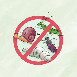 BASIC COMPANION PLANTING for SUCCESSFUL VEGETABLE GARDENING: A Simplified Beginner's Guide to Using Plant Partners for Organic Pest Control and Chemical-Free Vegetables (Bruce's Basic Garden Guides)