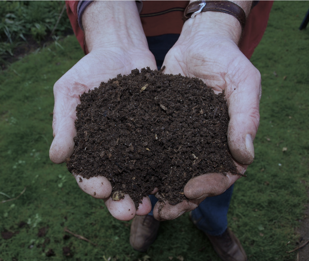 Companion Planting for Beginners: Your Guide to Easily Introduce Natural Pest Controls, Improve Soil Health, and Enjoy an Abundance of Organic Vegetables, Even for the First-Time Gardener