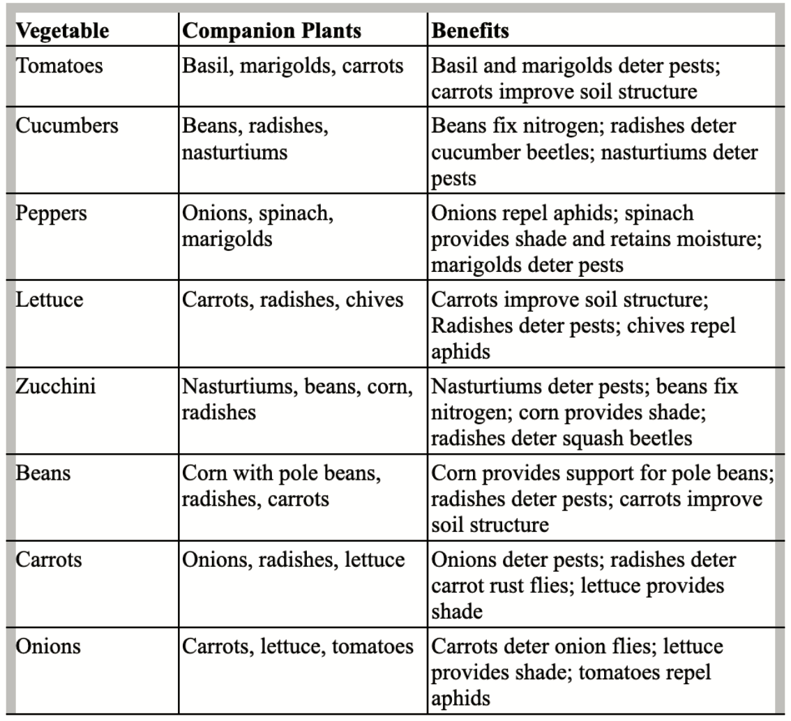 Companion Planting for Beginners: Your Guide to Easily Introduce Natural Pest Controls, Improve Soil Health, and Enjoy an Abundance of Organic Vegetables, Even for the First-Time Gardener