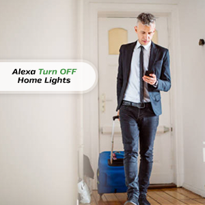 Smarteefi Touch 16A WiFi Smart Switch, Execute Schedule even if no Internet, Compatible with Alexa/ Home (White)