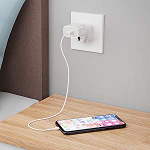 Ceptics India to South Africa, Botswana, Namibia & More (Type M) Travel Adapter Plug - CE Certified - RoHS Compliant (GP-10L)