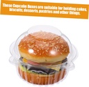 50pcs-clear-cake-storage-container-desse-4.jpg