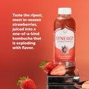 synergy-the-real-kombucha---strawberry-s-3.jpg