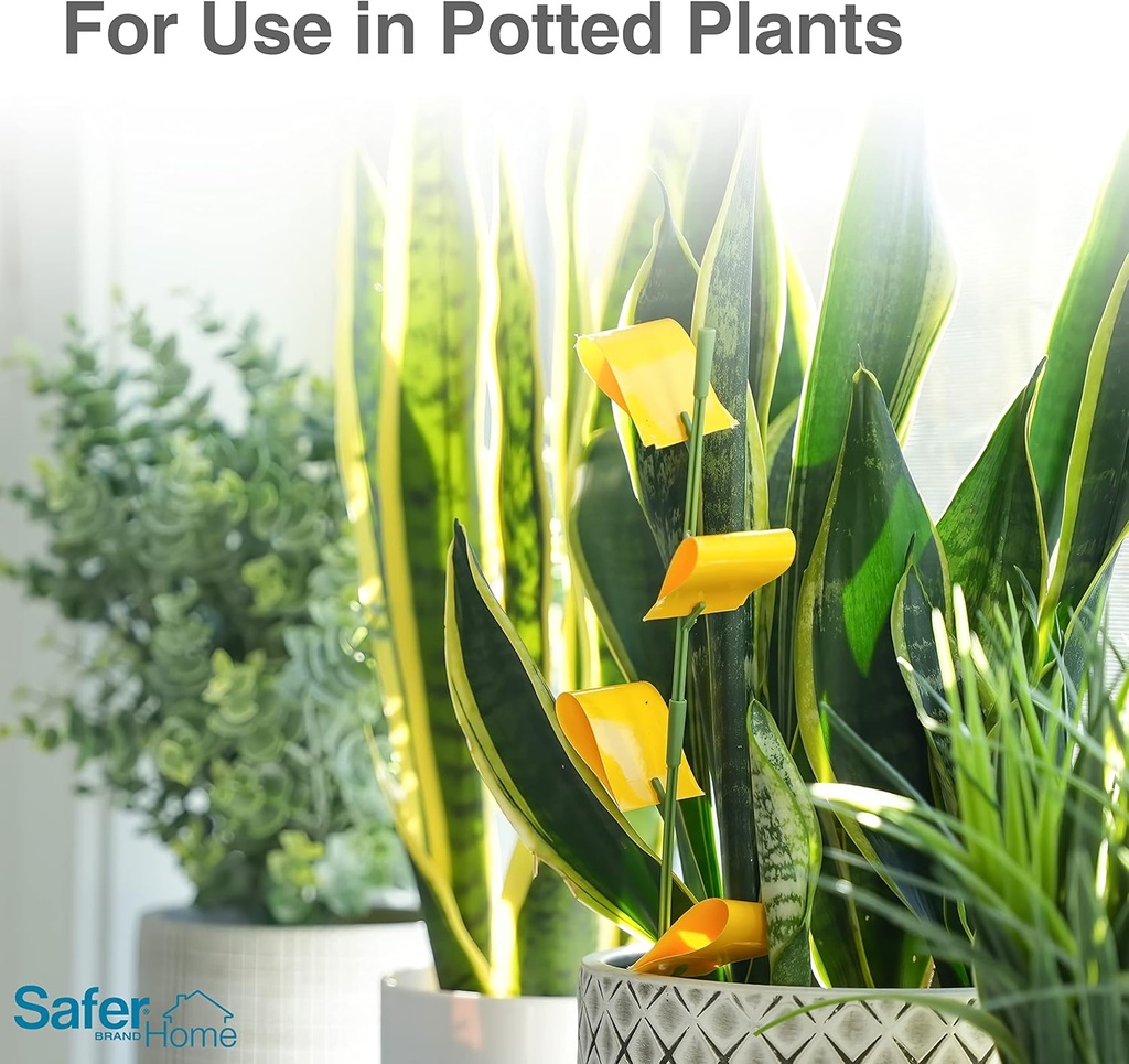 safer-brand-home-sh5026-3sr-houseplant-s-3.jpg