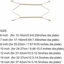 10-pcs-10-inch-golden-stainless-steel-pl-3.jpg