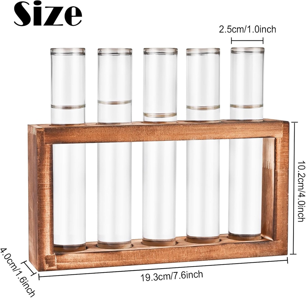 desktop-glass-plant-propagation-station--2.jpg