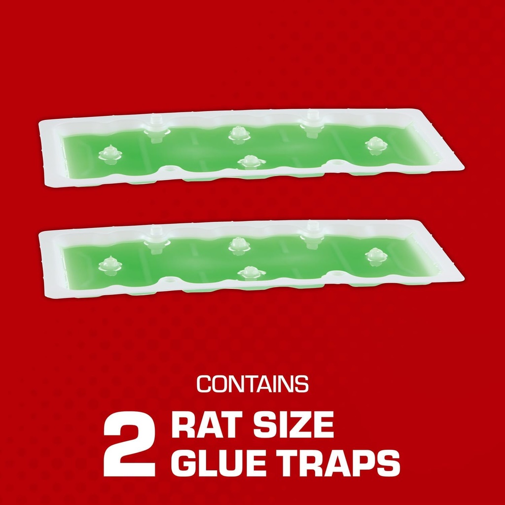 tomcat-super-hold-glue-traps-rat-size-fo-3.jpg