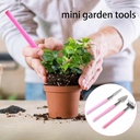 mini-gardening-tools-3pcs-stainless-succ-5.jpg