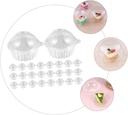 ciieeo-50pcs-clear-plastic-cupcake-holde-4.jpg