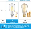 vintage-led-dimmable-edison-light-bulbs--4.jpg
