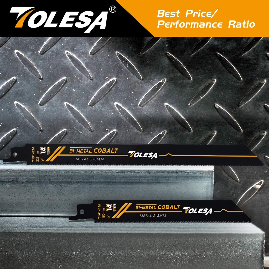 tolesa-heavy-metal-cutting-reciprocating-5.jpg