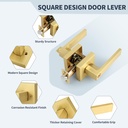 brushed-gold-heavy-duty-keyed-entry-door-2.jpg