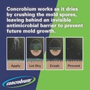 concrobium-25326-mold-control-spray-32-o-4.jpg