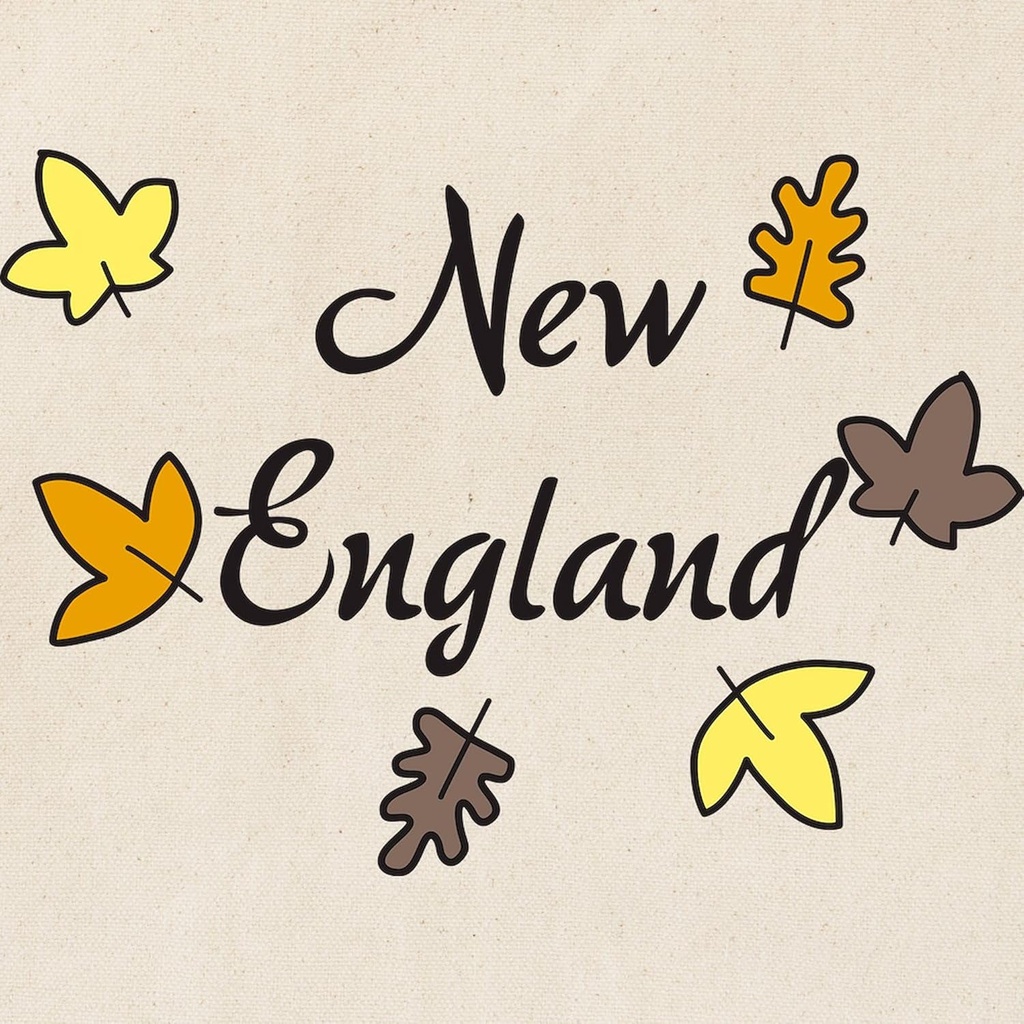 cafepress-new-england-tote-bag-reusable--2.jpg