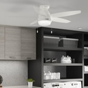 hunter-52-inch-indoor-ceiling-fan-with-l-5.jpg