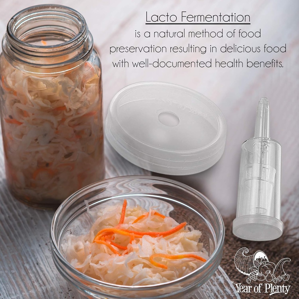 year-of-plenty-ferment-kit---2-fermentin-2.jpg
