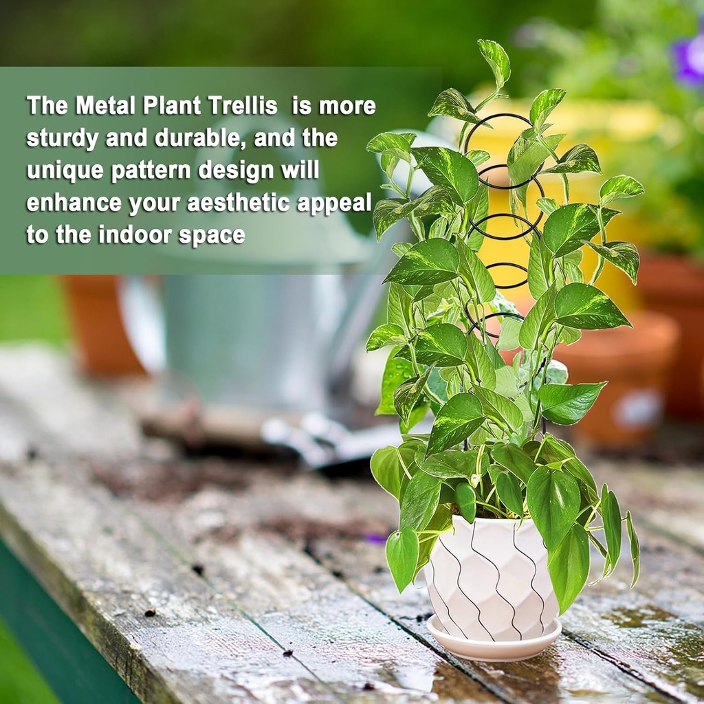 175-inch-plant-trellis-indoor-for-climbi-5.jpg