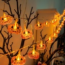 halloween-lights-pumkin-lights-10ft-20le-5.jpg