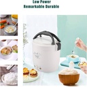 mini-rice-cooker-1l-12v-portable-rice-ma-4.jpg