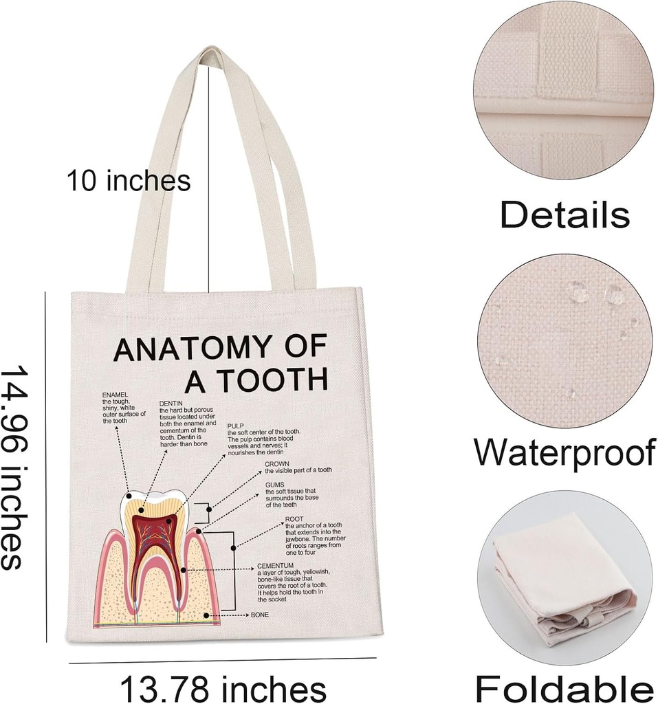 levlo-dental-clinic-doctor-gift-anatomy--2.jpg