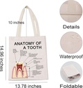 levlo-dental-clinic-doctor-gift-anatomy--2.jpg