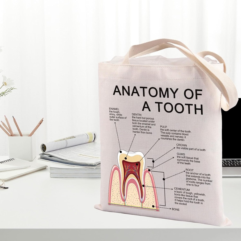 levlo-dental-clinic-doctor-gift-anatomy--4.jpg