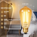 dicuno-e26-edison-bulbs-60w-2200k-amber--2.jpg