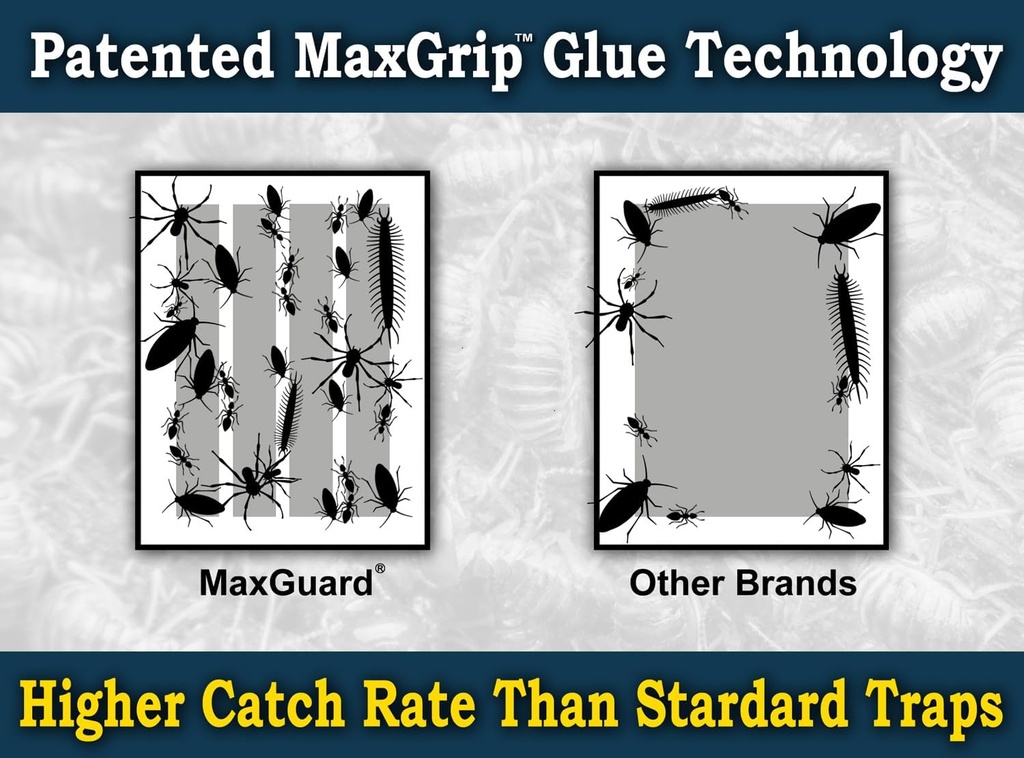 maxguard-maxgrip-glue-traps-24-traps-non-4.jpg