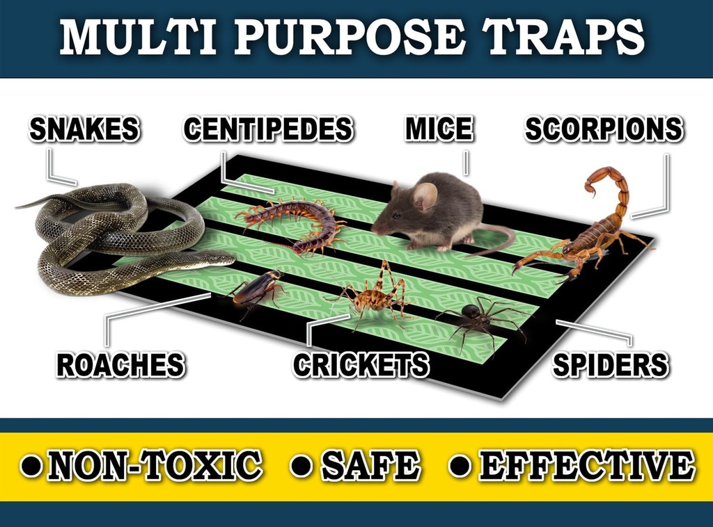 maxguard-maxgrip-glue-traps-24-traps-non-5.jpg