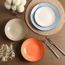 dinner-plates-105-inch-ceramic-plates-se-5.jpg