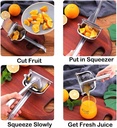 real-stainless-steel-lemon-squeezer-citr-4.jpg