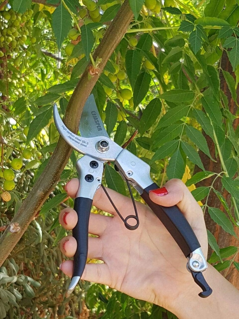 jasper-solid-8-heavy-duty-bypass-pruners-3.jpg